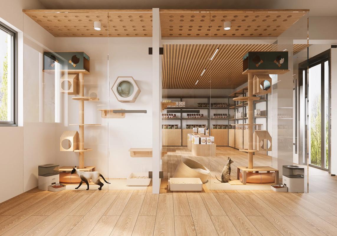 宠物寄养环境展示