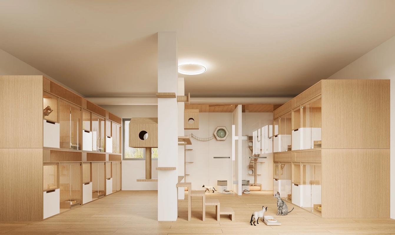 宠物寄养环境展示