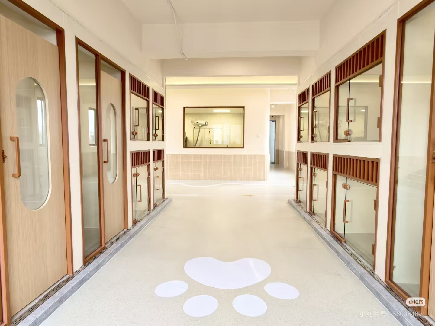 宠物寄养环境展示