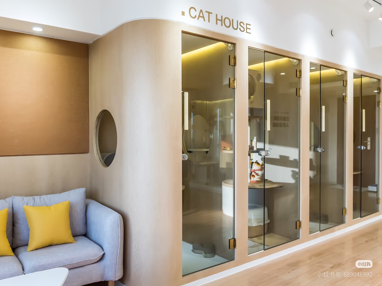 宠物寄养环境展示